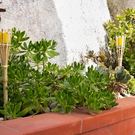 Holiday home Franca Fontane Bianche